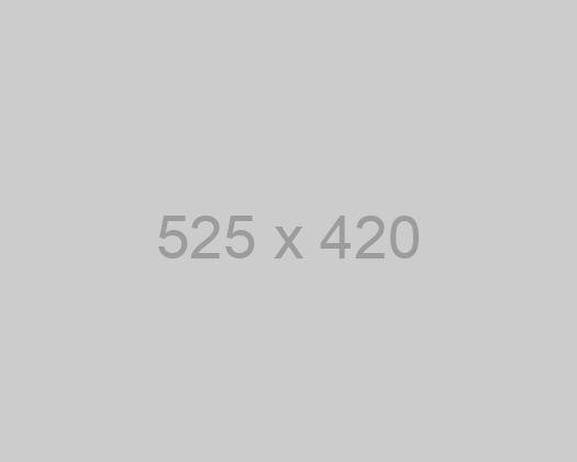 Impedit dolor qui ex porro et ducimus exercitationem sed